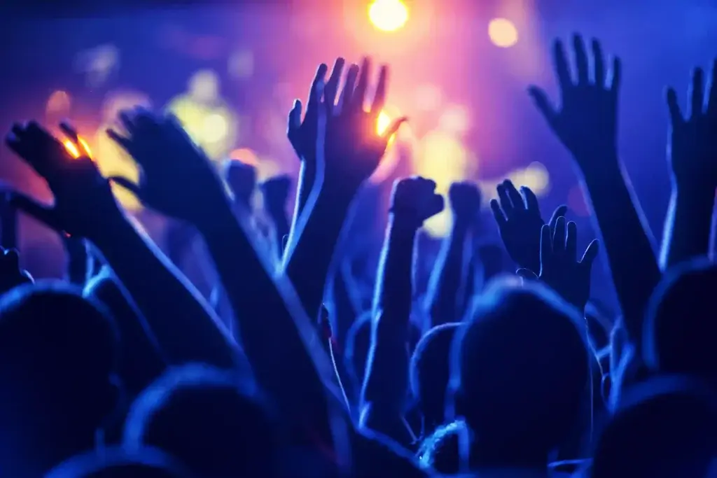 Home Page 3 Silhouetted crowd at a live entertainment show with raised hands under colorful stage lights, capturing the energy and excitement of a concert or performance.